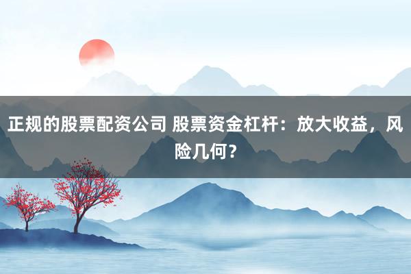 正规的股票配资公司 股票资金杠杆：放大收益，风险几何？