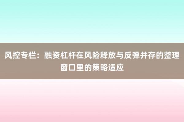 风控专栏：融资杠杆在风险释放与反弹并存的整理窗口里的策略适应