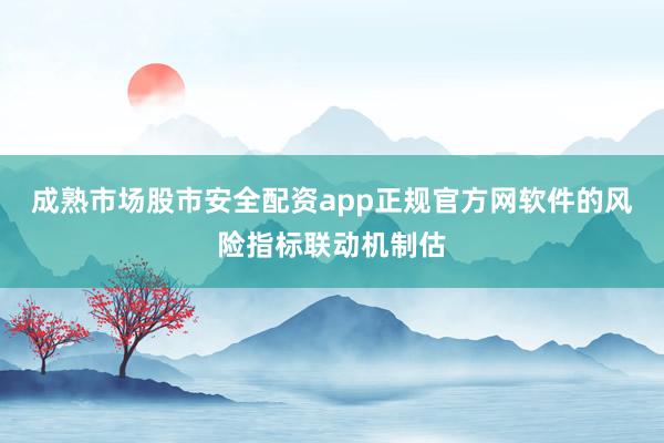 成熟市场股市安全配资app正规官方网软件的风险指标联动机制估