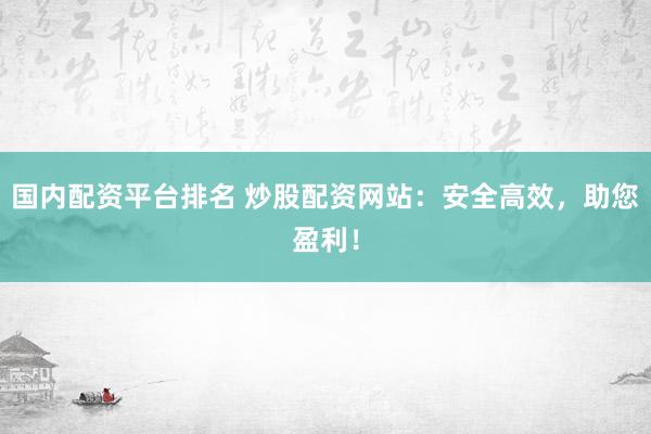 国内配资平台排名 炒股配资网站：安全高效，助您盈利！