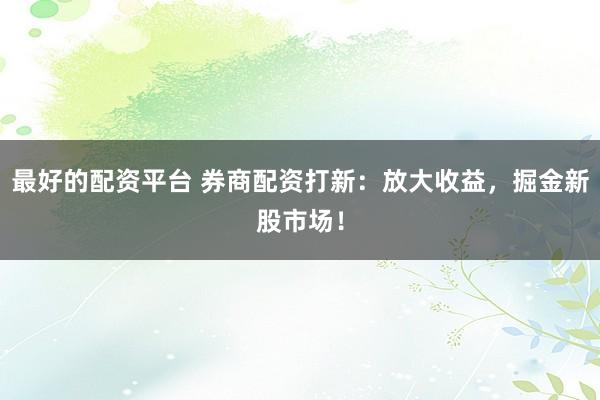 最好的配资平台 券商配资打新：放大收益，掘金新股市场！