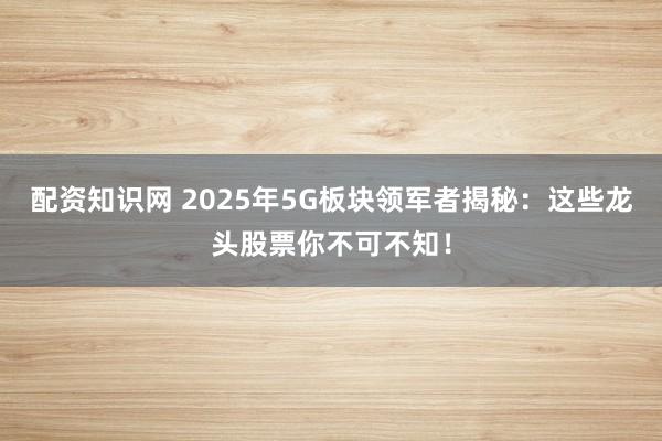 配资知识网 2025年5G板块领军者揭秘：这些龙头股票你不可不知！